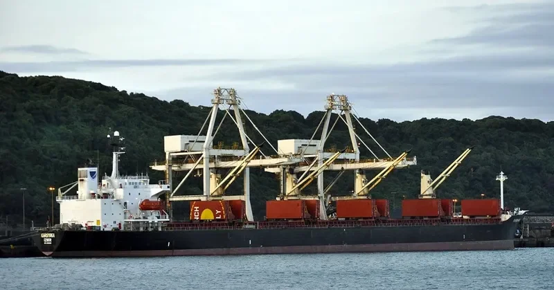 PRIMAVERA II Bulk Carrier IMO 9186962 photo 2