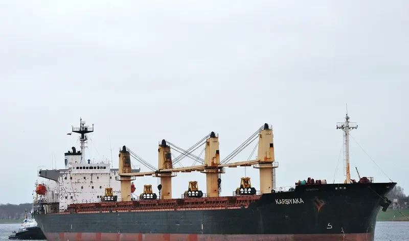 PRIMAVERA II Bulk Carrier IMO 9186962 photo 3