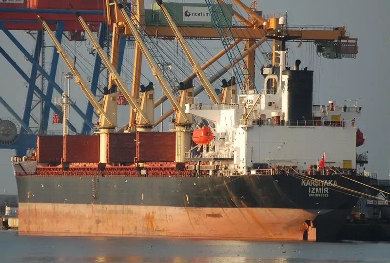 PRIMAVERA II Bulk Carrier IMO 9186962 photo 4