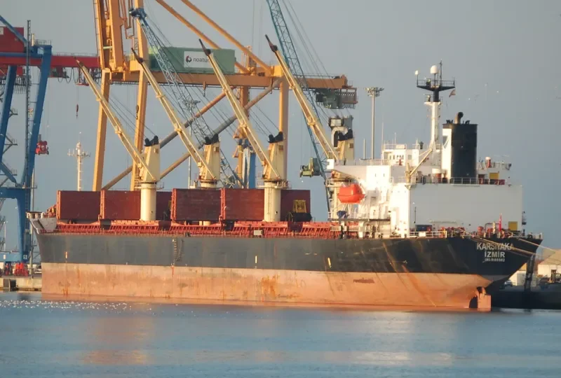 PRIMAVERA II Bulk Carrier IMO 9186962 photo 5