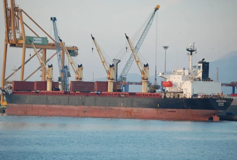 PRIMAVERA II Bulk Carrier IMO 9186962 photo 6