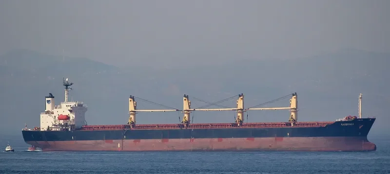PRIMAVERA II Bulk Carrier IMO 9186962 photo 7