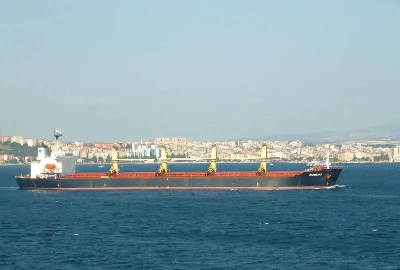 PRIMAVERA II Bulk Carrier IMO 9186962 photo 8