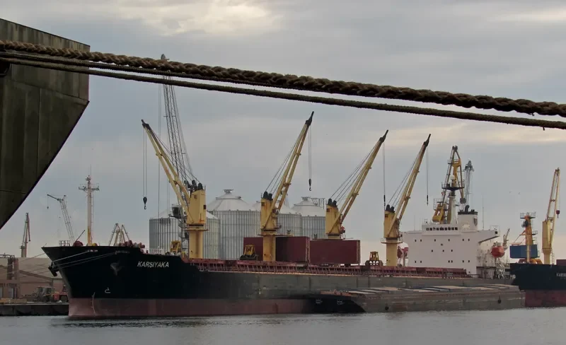 PRIMAVERA II Bulk Carrier IMO 9186962 photo 9