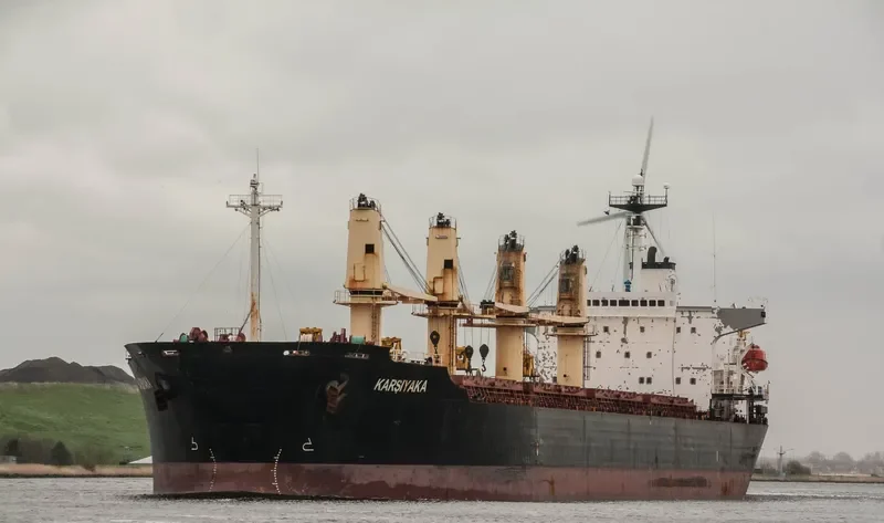 PRIMAVERA II Bulk Carrier IMO 9186962 photo 10