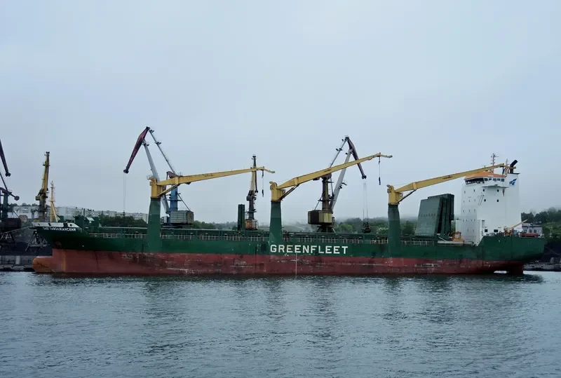 OLEG TAVOLZHANSKIY General Cargo IMO 9187045 photo 2