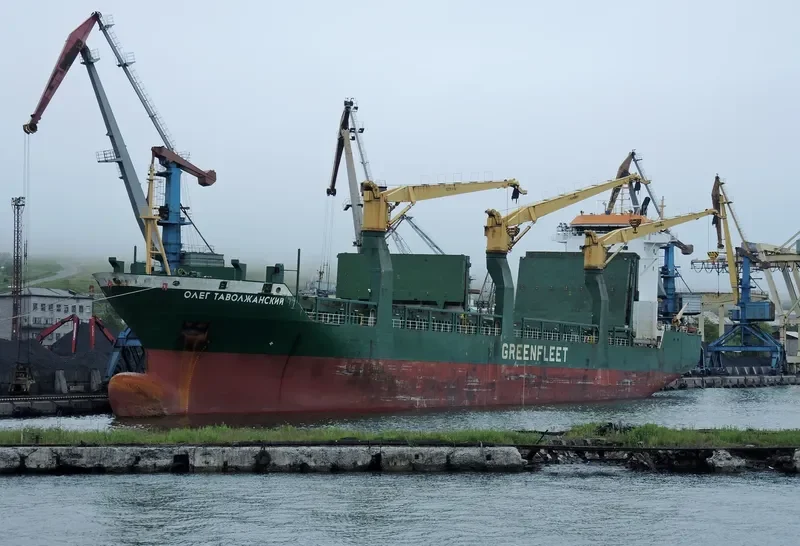 OLEG TAVOLZHANSKIY General Cargo IMO 9187045 photo 3