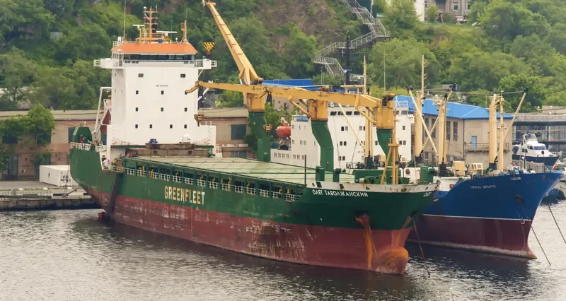 OLEG TAVOLZHANSKIY General Cargo IMO 9187045 photo 4