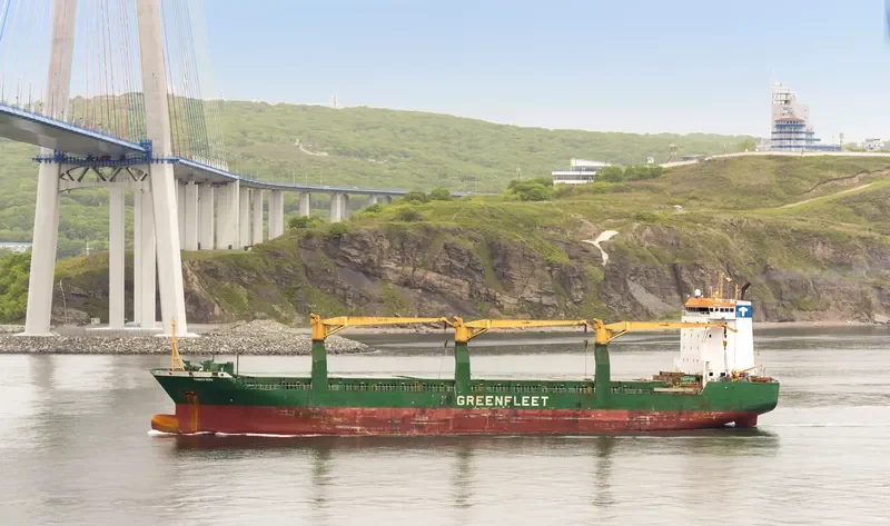 OLEG TAVOLZHANSKIY General Cargo IMO 9187045 photo 5