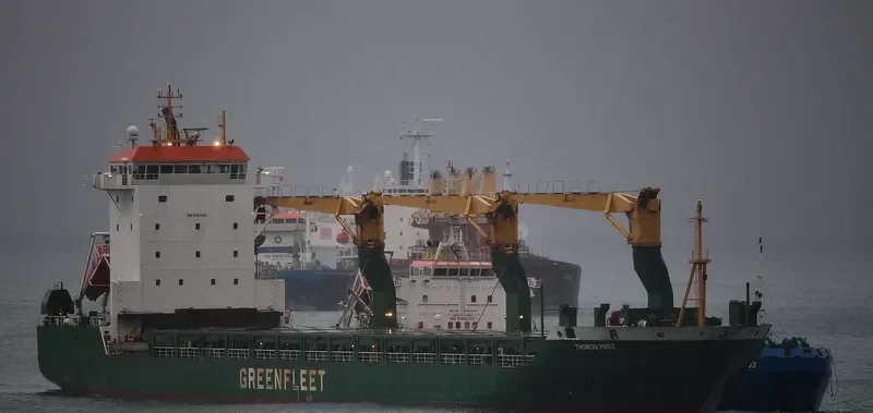 OLEG TAVOLZHANSKIY General Cargo IMO 9187045 photo 9