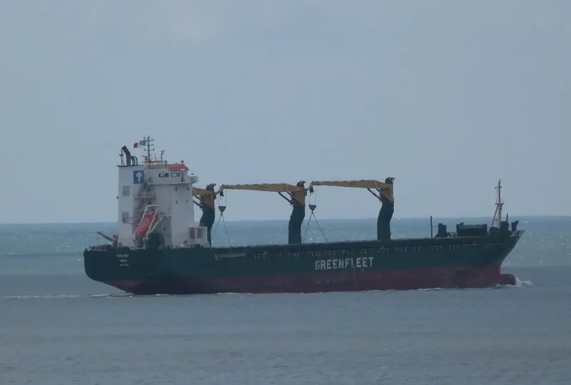 OLEG TAVOLZHANSKIY General Cargo IMO 9187045 photo 10