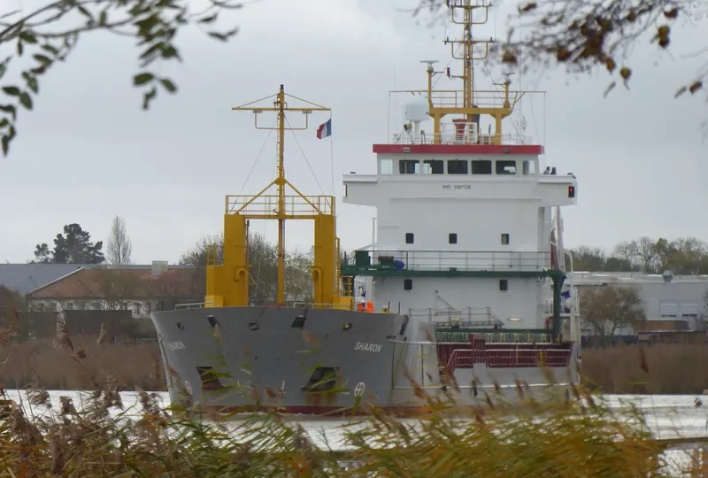 PEAK SAUDA General Cargo IMO 9187136 photo 7