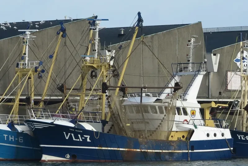 EBEN HAEZER General Cargo IMO 9187198 photo 2