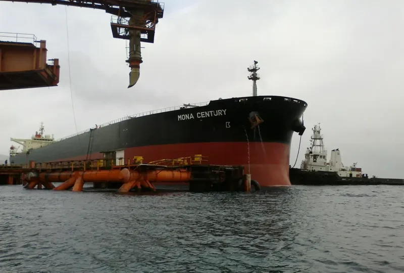 NPS CENTURY Bulk Carrier IMO 9187289 photo 8