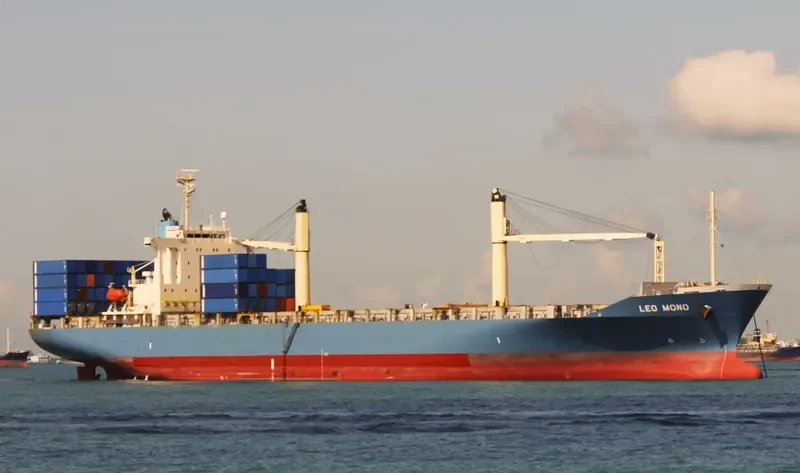 BALEEN Container Ship IMO 9187332 photo 3