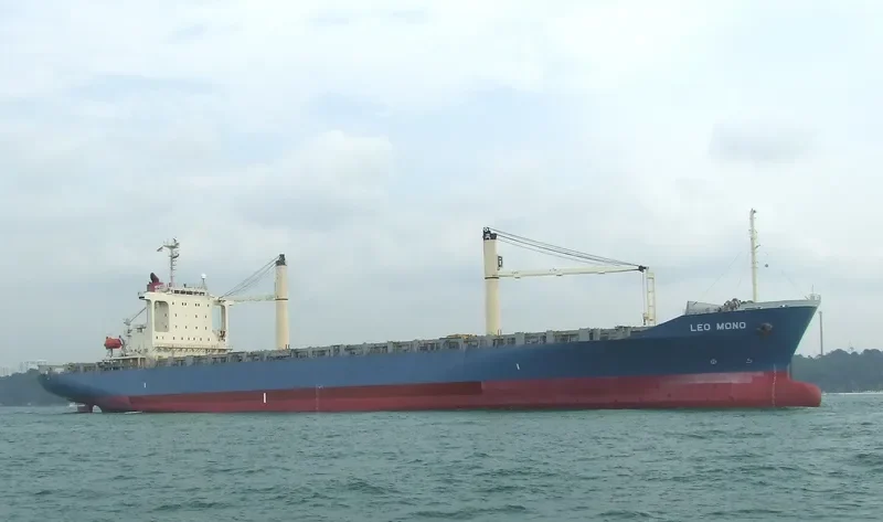 BALEEN Container Ship IMO 9187332 photo 5