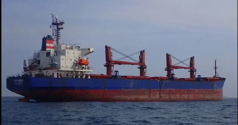 ISKANDAR Bulk Carrier IMO 9187370 photo 2