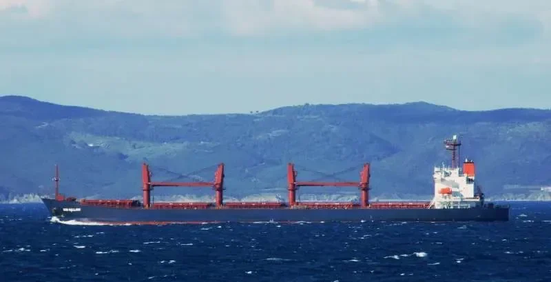 ISKANDAR Bulk Carrier IMO 9187370 photo 3