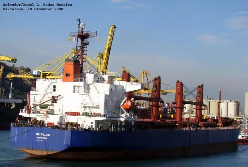 ISKANDAR Bulk Carrier IMO 9187370 photo 5