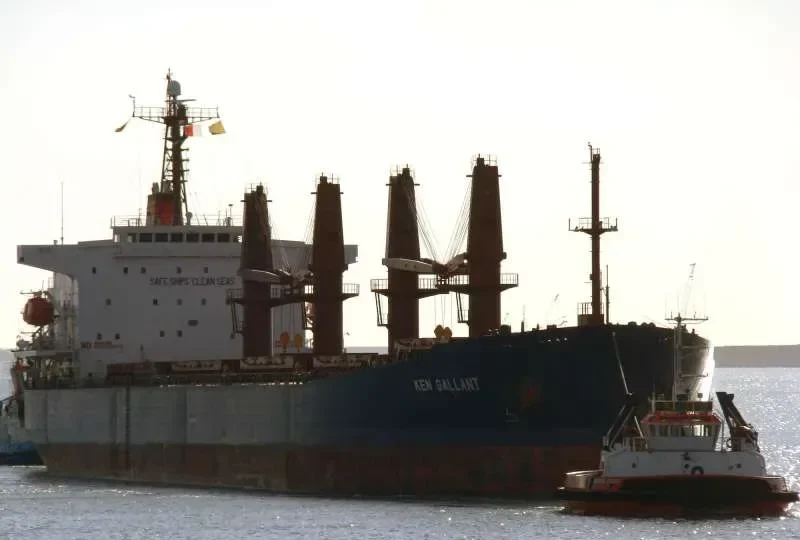 ISKANDAR Bulk Carrier IMO 9187370 photo 6