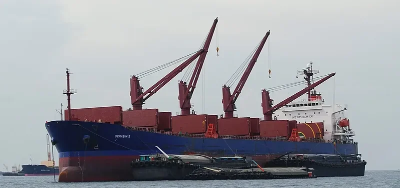 ISKANDAR Bulk Carrier IMO 9187370 photo 8