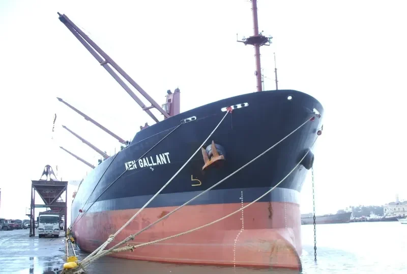 ISKANDAR Bulk Carrier IMO 9187370 photo 9