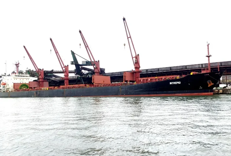 BAO JIA Bulk Carrier IMO 9187382 photo 3
