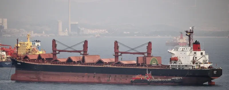 BAO JIA Bulk Carrier IMO 9187382 photo 5
