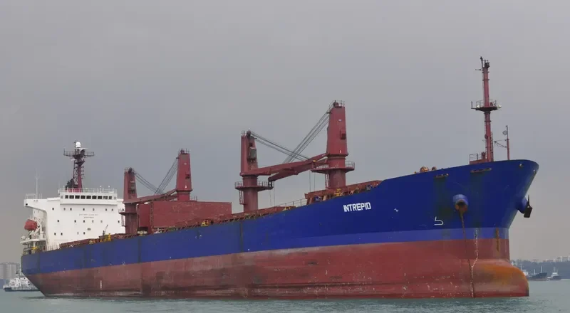 BAO JIA Bulk Carrier IMO 9187382 photo 7