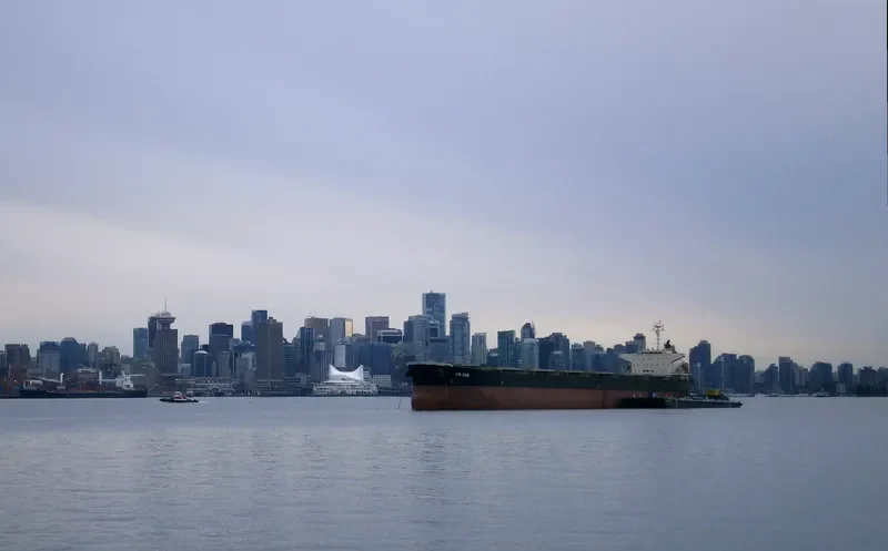JIN RUN Bulk Carrier IMO 9187447 photo 2