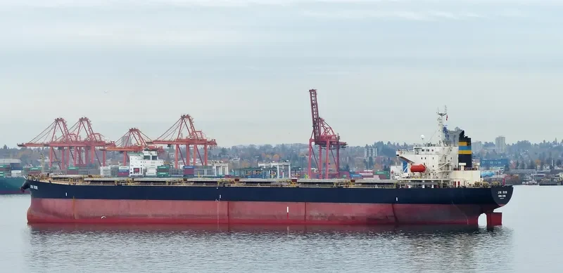 JIN RUN Bulk Carrier IMO 9187447 photo 3