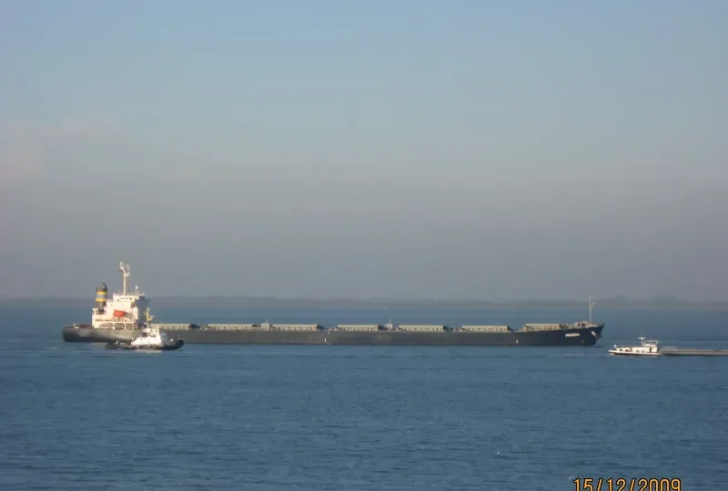 JIN RUN Bulk Carrier IMO 9187447 photo 4