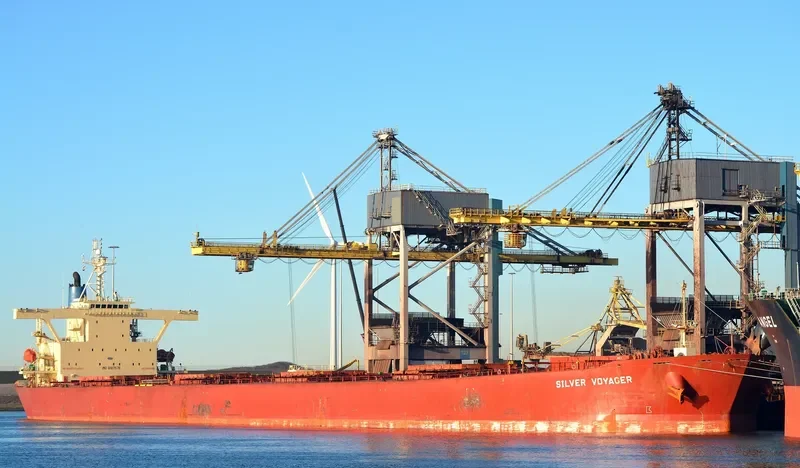 SILVER VOYAGER Bulk Carrier IMO 9187576 photo 2
