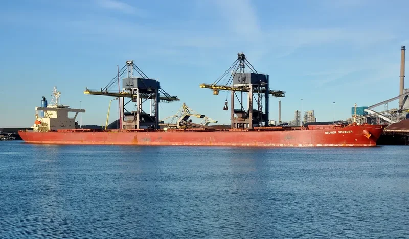 SILVER VOYAGER Bulk Carrier IMO 9187576 photo 5