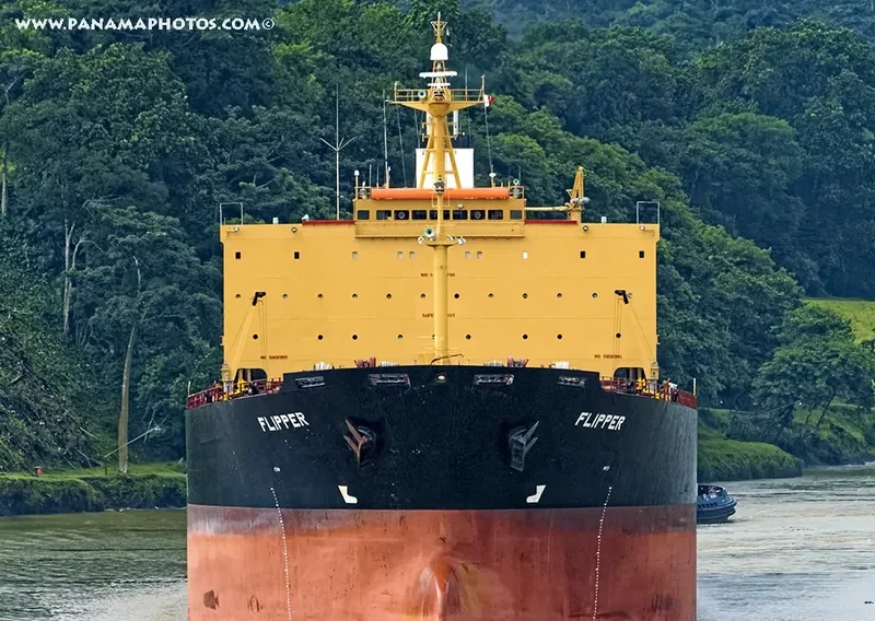 MONA KH Bulk Carrier IMO 9187708 photo 4