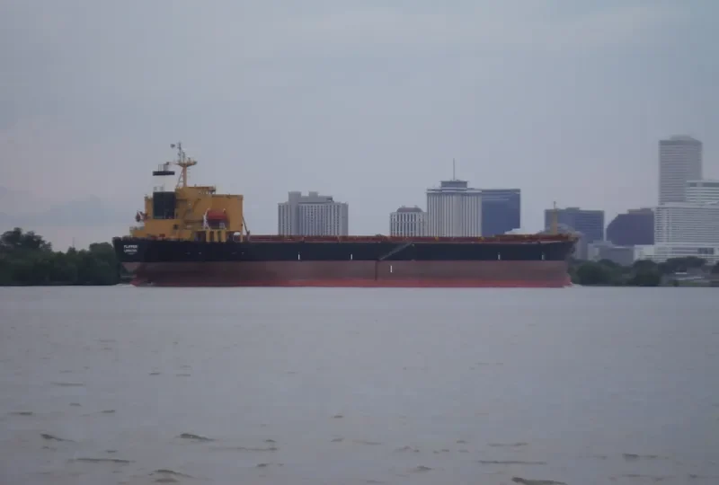 MONA KH Bulk Carrier IMO 9187708 photo 5
