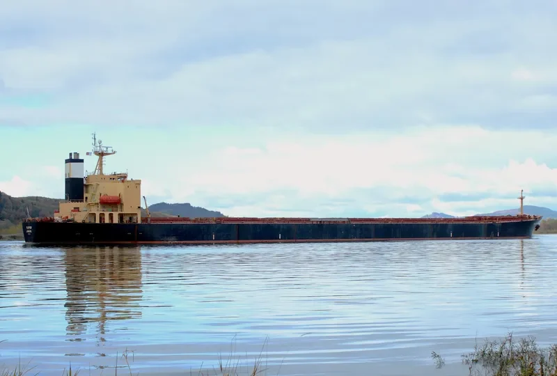 MONA KH Bulk Carrier IMO 9187708 photo 7