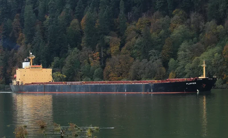 MONA KH Bulk Carrier IMO 9187708 photo 8