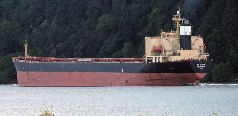 MONA KH Bulk Carrier IMO 9187708 photo 9