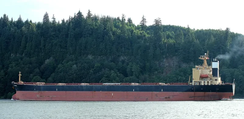 MONA KH Bulk Carrier IMO 9187708 photo 10