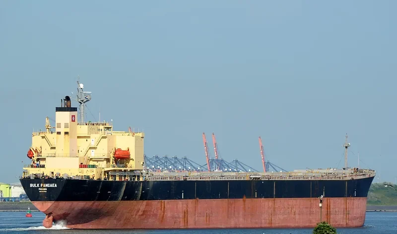 BULK PANGAEA Bulk Carrier IMO 9187722 photo 4