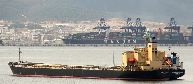 BULK PANGAEA Bulk Carrier IMO 9187722 photo 5