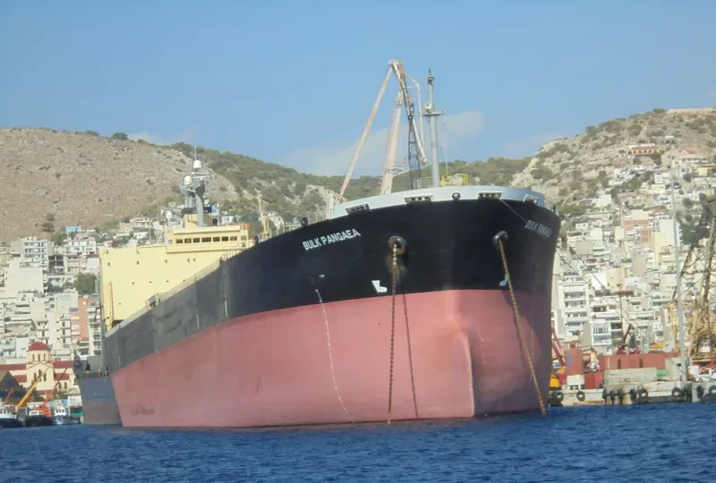 BULK PANGAEA Bulk Carrier IMO 9187722 photo 6