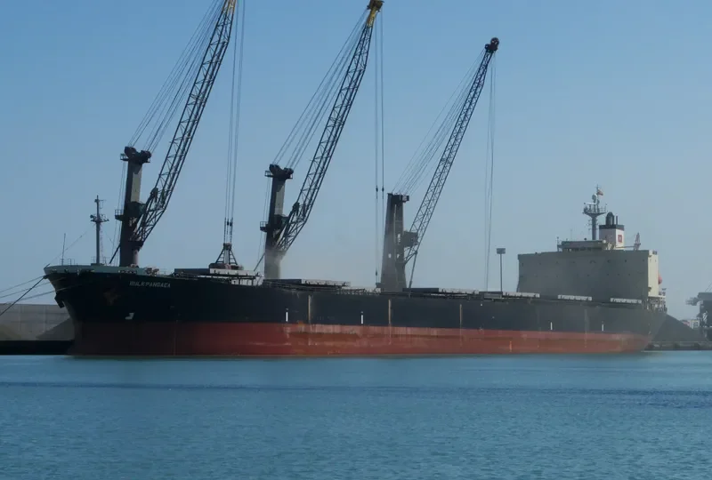 BULK PANGAEA Bulk Carrier IMO 9187722 photo 9
