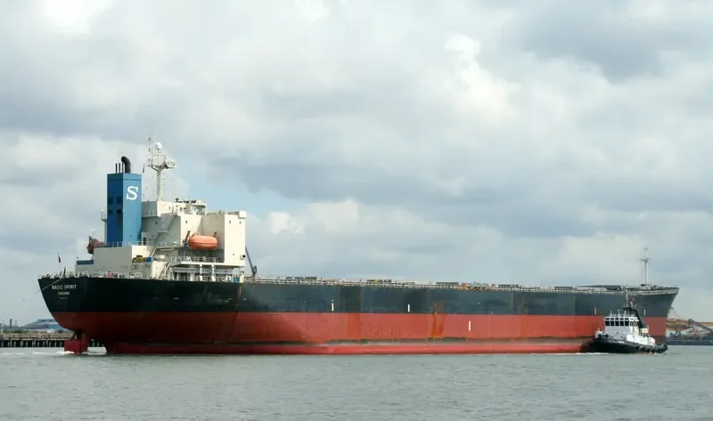 DA TANG 2 HAO Bulk Carrier IMO 9187734 photo 3
