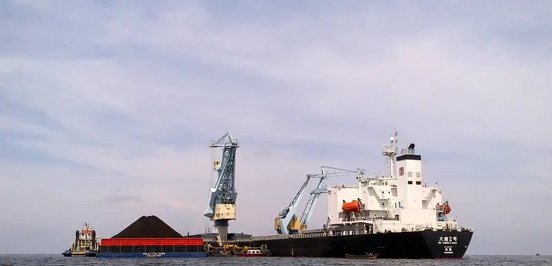DA TANG 2 HAO Bulk Carrier IMO 9187734 photo 4