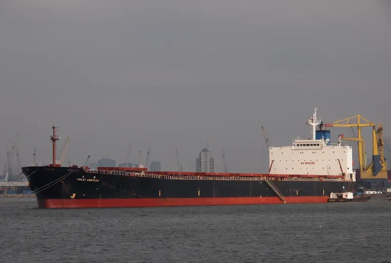 GREAT AMBITION Bulk Carrier IMO 9187746 photo 4
