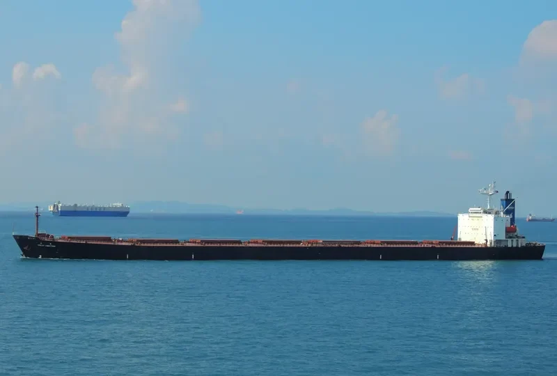 GREAT AMBITION Bulk Carrier IMO 9187746 photo 6