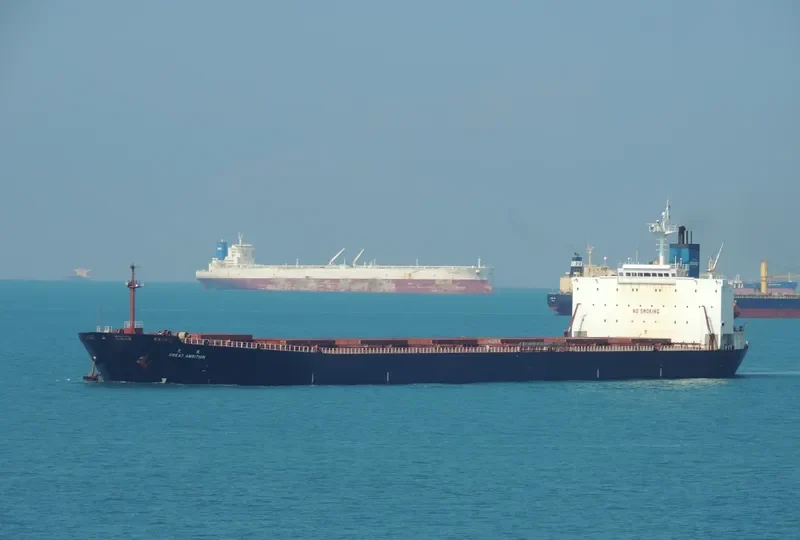 GREAT AMBITION Bulk Carrier IMO 9187746 photo 7
