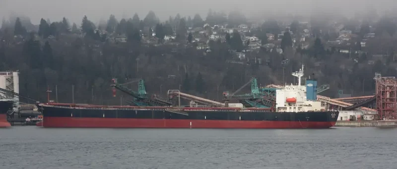 GREAT AMBITION Bulk Carrier IMO 9187746 photo 8